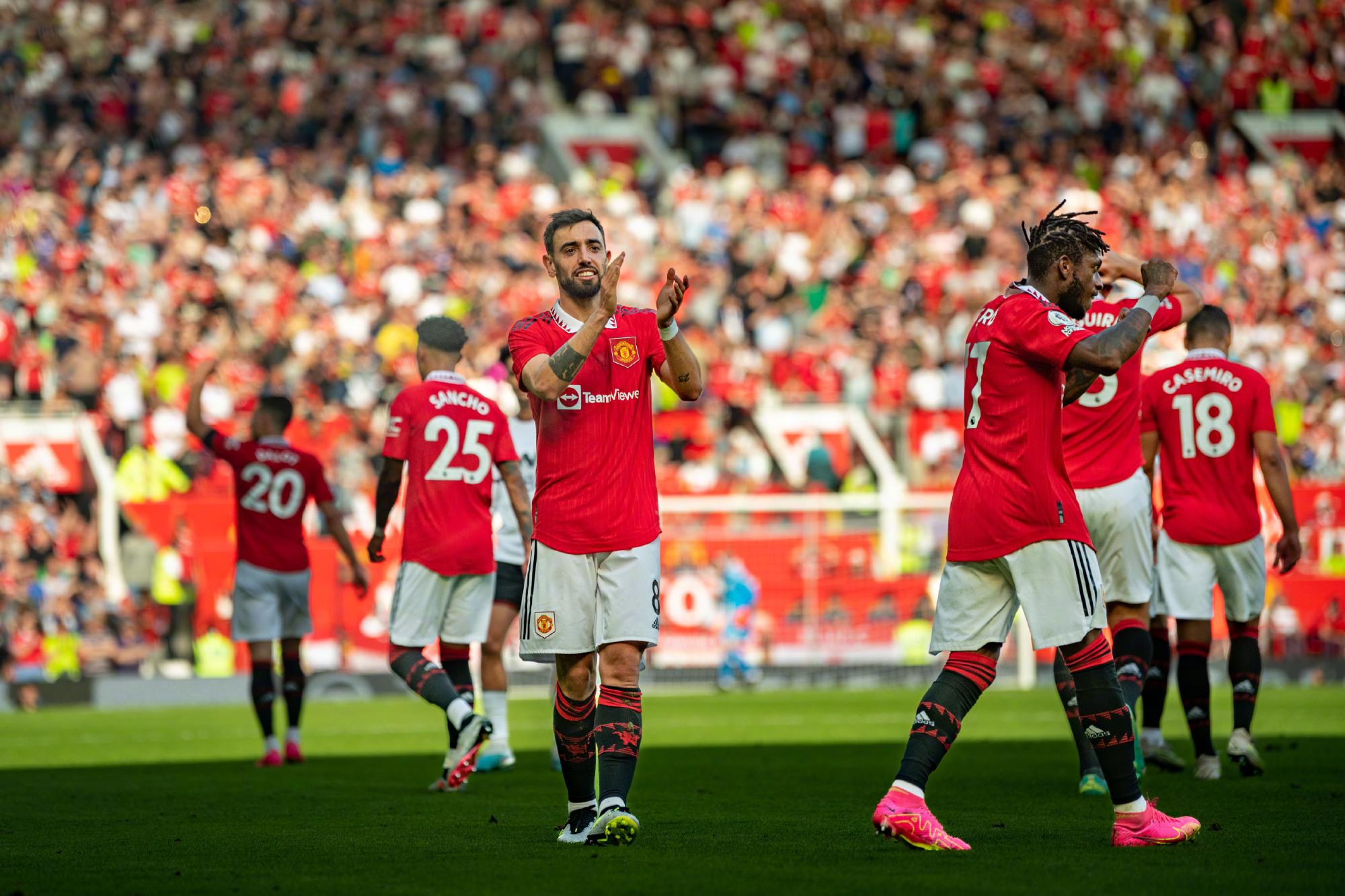 他们极力希 他们极力希